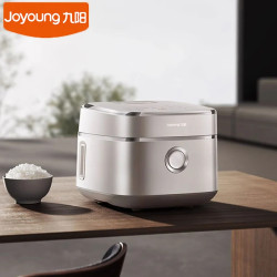 JOYOUNG 4L Cuociriso e Porridge - Acciaio inossidabile 316L